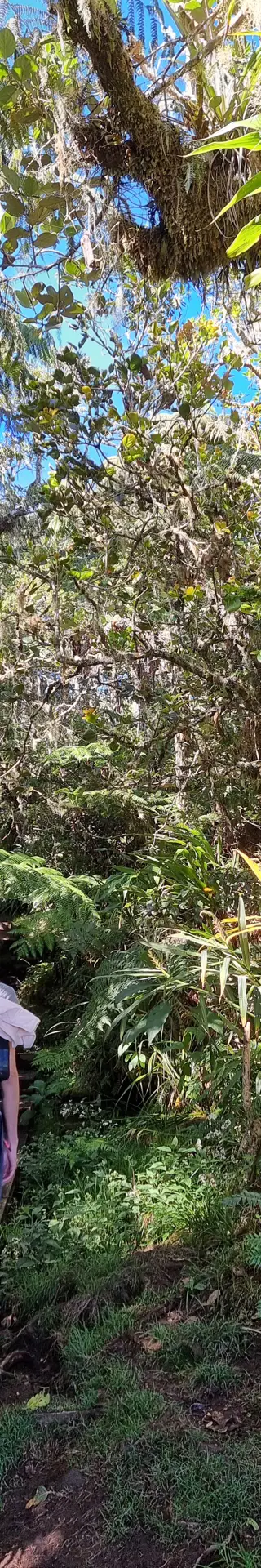 Die zweite Etappe von Bélouve nach Caverne Dufour